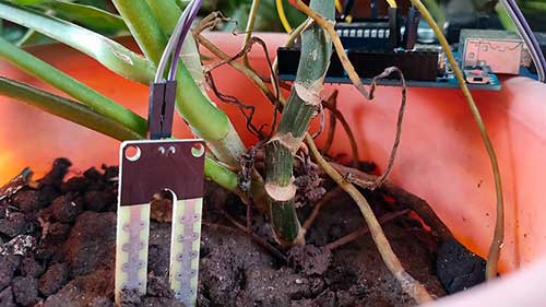 Arduino Soil Moisture Sensor Project: Code, Setup, and Tips for Beginners