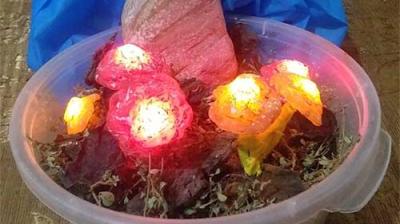 Making an Arduino Mushroom LED Lights Decoration